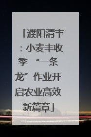 濮阳清丰：小麦丰收季 “一条龙”作业开启农业高效新篇章