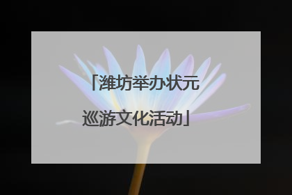 潍坊举办状元巡游文化活动