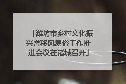 潍坊市乡村文化振兴暨移风易俗工作推进会议在诸城召开