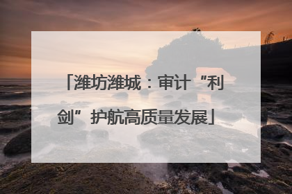 潍坊潍城：审计“利剑”护航高质量发展