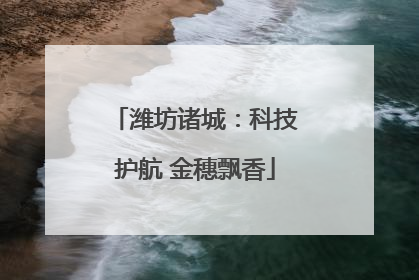 潍坊诸城：科技护航 金穗飘香