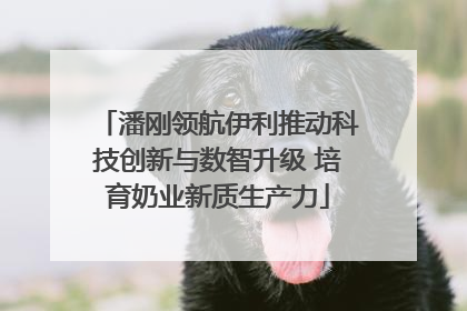 潘刚领航伊利推动科技创新与数智升级 培育奶业新质生产力