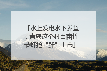 水上发电水下养鱼，青岛这个村百亩竹节虾抢“鲜”上市