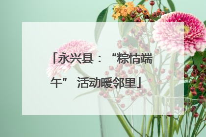 永兴县：“粽情端午” 活动暖邻里