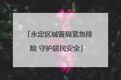永定区城管局紧急排险 守护居民安全