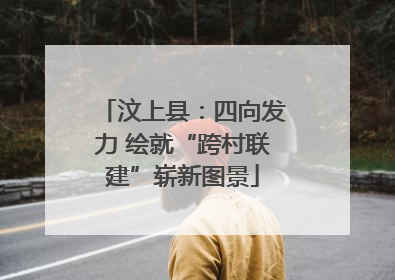 汶上县：四向发力 绘就“跨村联建”崭新图景