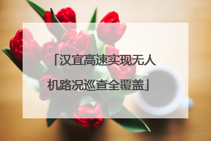 汉宜高速实现无人机路况巡查全覆盖