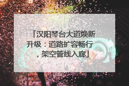 汉阳琴台大道焕新升级：道路扩容畅行，架空管线入廊