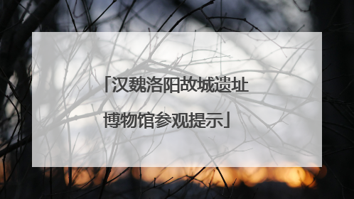 汉魏洛阳故城遗址博物馆参观提示