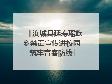 汝城县延寿瑶族乡禁毒宣传进校园 筑牢青春防线