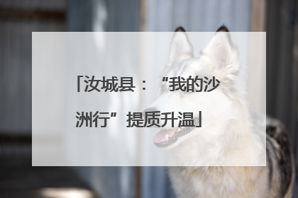 汝城县：“我的沙洲行”提质升温