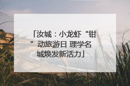 汝城：小龙虾“钳”动旅游日 理学名城焕发新活力