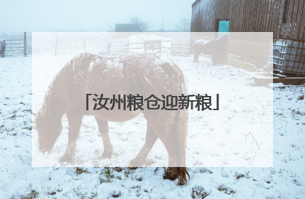 汝州粮仓迎新粮