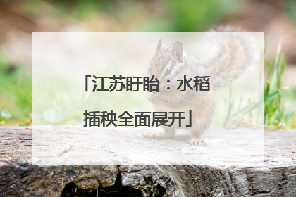 江苏盱眙：水稻插秧全面展开