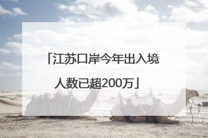江苏口岸今年出入境人数已超200万