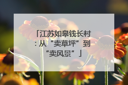 江苏如皋钱长村：从“卖草坪”到“卖风景”