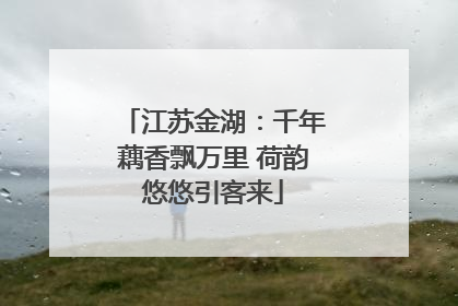 江苏金湖：千年藕香飘万里 荷韵悠悠引客来