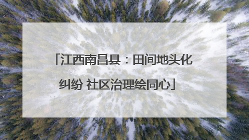 江西南昌县：田间地头化纠纷 社区治理绘同心