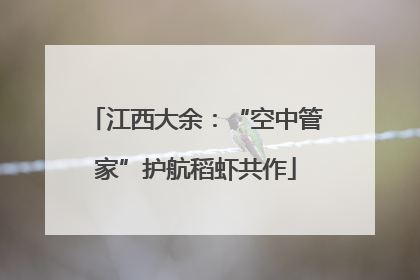 江西大余：“空中管家”护航稻虾共作