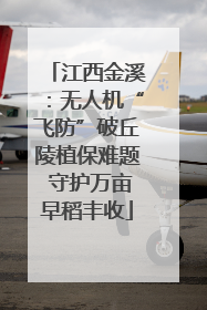 江西金溪：无人机“飞防”破丘陵植保难题 守护万亩早稻丰收