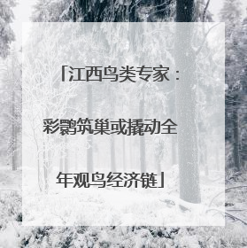 江西鸟类专家：彩鹮筑巢或撬动全年观鸟经济链