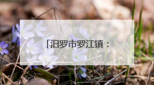 汨罗市罗江镇：禁毒护苗齐发力 守护校园助成长