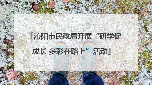 沁阳市民政局开展“研学促成长 多彩在路上”活动