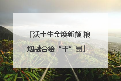沃土生金焕新颜 粮烟融合绘“丰”景