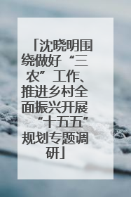 沈晓明围绕做好“三农”工作、推进乡村全面振兴开展“十五五”规划专题调研