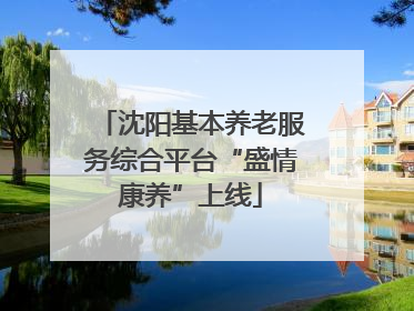 沈阳基本养老服务综合平台“盛情康养”上线