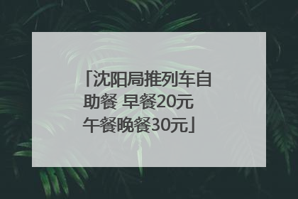 沈阳局推列车自助餐 早餐20元午餐晚餐30元