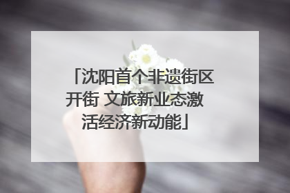 沈阳首个非遗街区开街 文旅新业态激活经济新动能