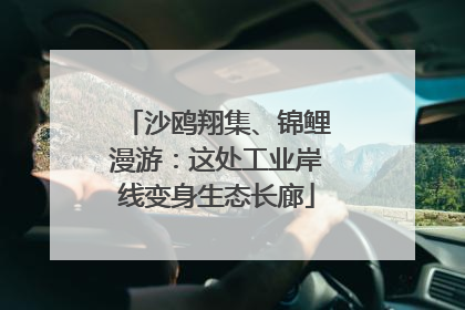 沙鸥翔集、锦鲤漫游：这处工业岸线变身生态长廊