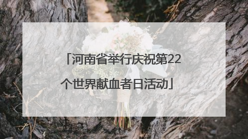河南省举行庆祝第22个世界献血者日活动
