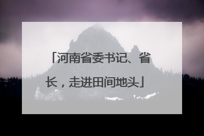 河南省委书记、省长，走进田间地头