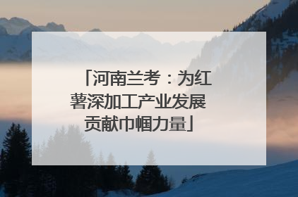 河南兰考：为红薯深加工产业发展贡献巾帼力量