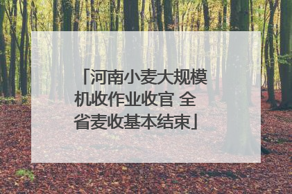 河南小麦大规模机收作业收官 全省麦收基本结束