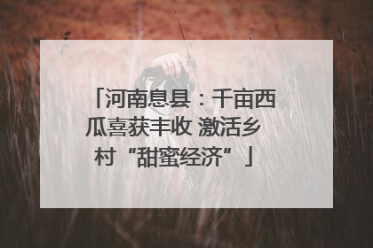 河南息县：千亩西瓜喜获丰收 激活乡村“甜蜜经济”