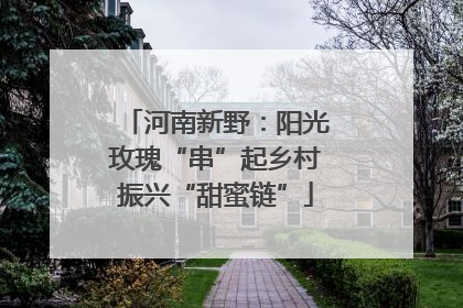 河南新野：阳光玫瑰“串”起乡村振兴“甜蜜链”