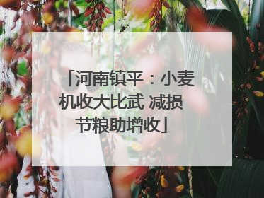 河南镇平：小麦机收大比武 减损节粮助增收