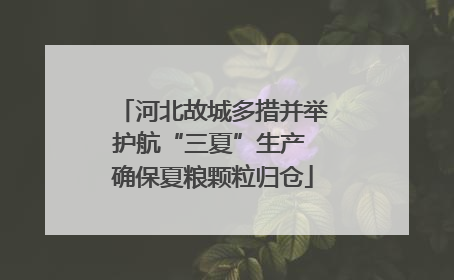 河北故城多措并举护航“三夏”生产 确保夏粮颗粒归仓
