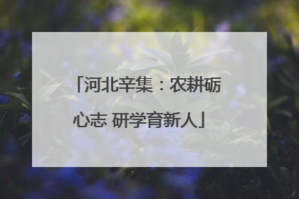 河北辛集：农耕砺心志 研学育新人