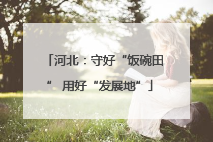 河北：守好“饭碗田” 用好“发展地”