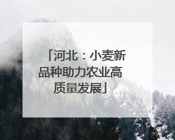 河北：小麦新品种助力农业高质量发展