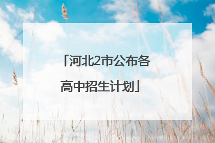 河北2市公布各高中招生计划