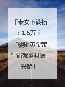 泰安下港镇：1.5万亩“樱桃黄金带”铺就乡村振兴路
