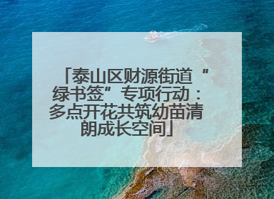 泰山区财源街道“绿书签”专项行动：多点开花共筑幼苗清朗成长空间