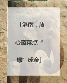 洛南：放心蔬菜点“绿”成金