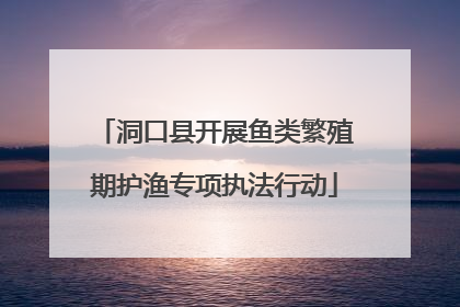 洞口县开展鱼类繁殖期护渔专项执法行动