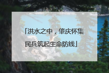 洪水之中，肇庆怀集民兵筑起生命防线
